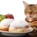 O doce engano: por que açúcar não combina com a dieta do gato