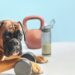 Whey protein também é para pets? Veterinário explica o uso e riscos