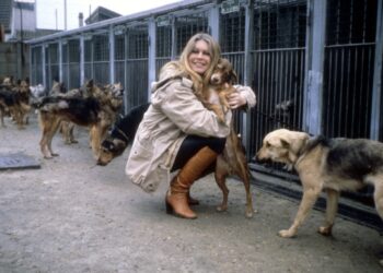 Atriz Brigitte Bardot foi ferrenha ativista em defesa da causa animal