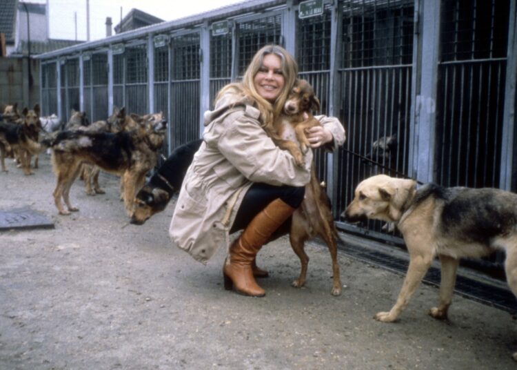 Atriz Brigitte Bardot foi ferrenha ativista em defesa da causa animal