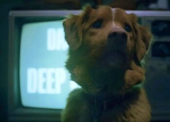 Bom garoto: cachorro concorre a Melhor Ator em premiação internacional