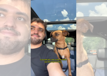 Emocionante! Após ser adotada, cadela segue o tutor por toda a casa