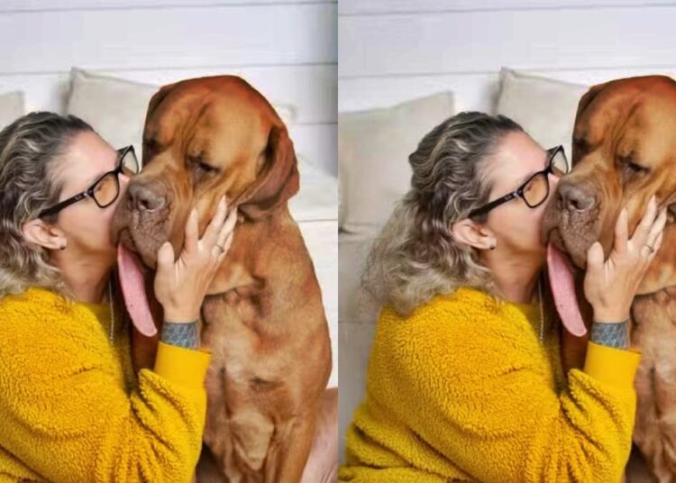 Maior língua do mundo: veja o cão que entrou para o livro dos recordes