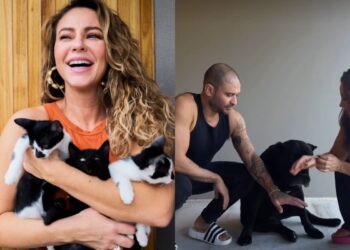 Paolla Oliveira e Diogo Nogueira adotaram quase 20 pets juntos; veja
