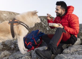 Viagem e alimentação: como manter seu pet saudável durante as férias