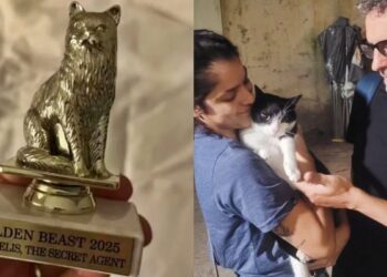 Além de Wagner Moura, gata de O Agente Secreto também venceu prêmio