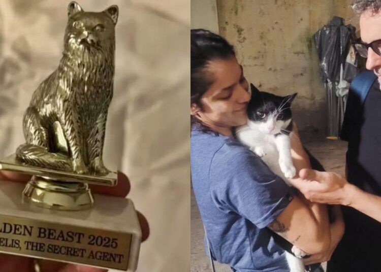Além de Wagner Moura, gata de O Agente Secreto também venceu prêmio