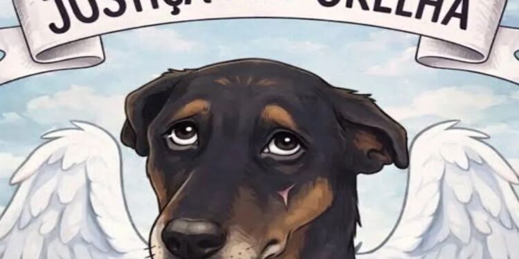 Além do Cão Orelha: SC tem 14 casos de pets vítimas de maus-tratos por dia