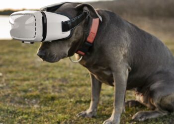 Coleira com IA pode traduzir emoções dos cães? Veja o que diz expert