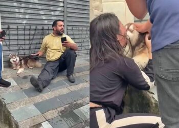 Entregador encontra cão perdido e recusa recompensa de R$ 5 mil