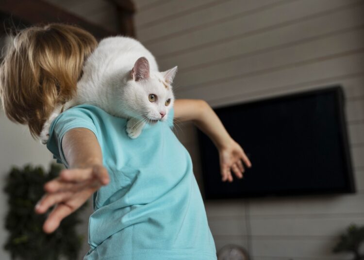 Férias escolares: pets podem ficar estressados com a mudança de rotina