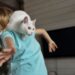 Férias escolares: pets podem ficar estressados com a mudança de rotina