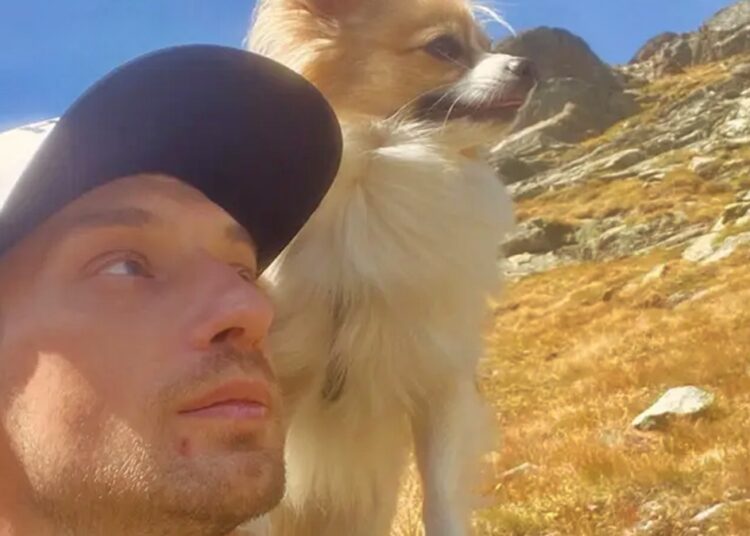 Herói de quatro patas: cão salva tutor que caiu em geleira na Suíça