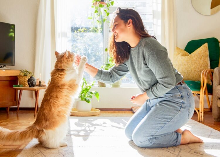 Iluminação natural: entenda a importância na saúde de pets e tutores