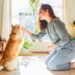 Iluminação natural: entenda a importância na saúde de pets e tutores