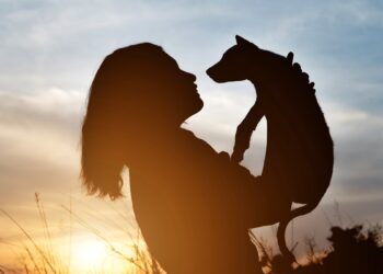 Luto por pets: por que pode doer até mais que a perda de uma pessoa