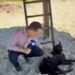 Micael, irmão do cão Orelha, é flagrado entristecido após perda
