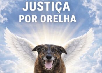 Por que morte de Orelha comoveu tanto as pessoas, segundo psicóloga