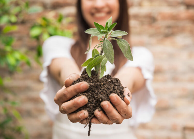 No momento, você está visualizando Semam incentiva a arborização urbana e conscientiza a população com o “Projeto Adote uma Árvore”