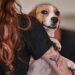 Carnapatinhas: bloco oferece microchip e vacinação gratuita para cães
