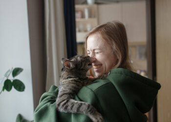 Gatos podem ajudar na luta contra o câncer, sugere novo estudo