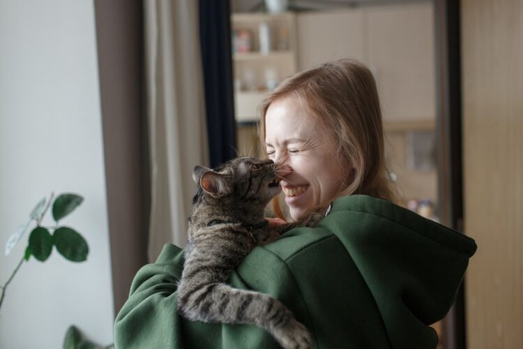 Gatos podem ajudar na luta contra o câncer, sugere novo estudo