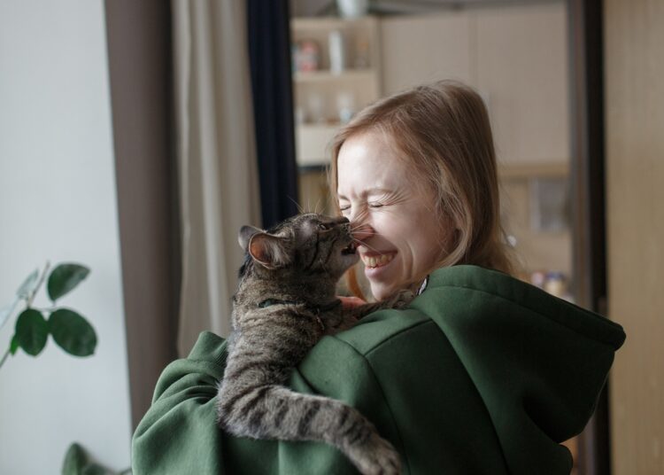Gatos podem ajudar na luta contra o câncer, sugere novo estudo