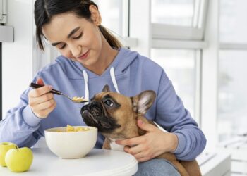 Oferecer comida do próprio prato aos pets é perigoso; entenda riscos