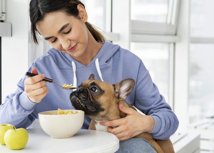 Oferecer comida do próprio prato aos pets é perigoso; entenda riscos
