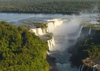 Onça-parda surpreende visitantes no Parque Nacional do Iguaçu. Vídeo