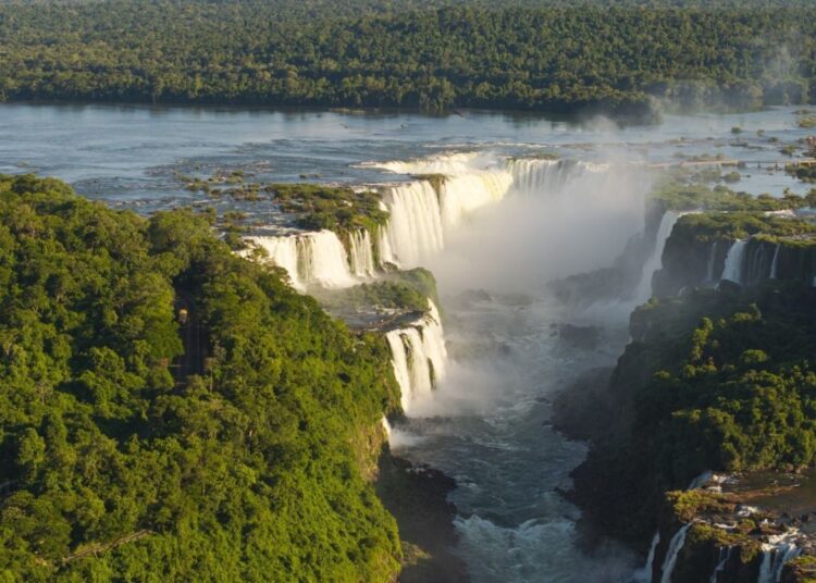 Onça-parda surpreende visitantes no Parque Nacional do Iguaçu. Vídeo