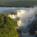 Onça-parda surpreende visitantes no Parque Nacional do Iguaçu. Vídeo