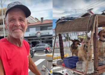 Para proteger seus 3 cães, catador constrói carrinho com sombra e água