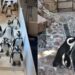 Pinguins com frio? Onda ártica leva aquário a abrigar 20 aves nos EUA