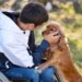 8 dicas infalíveis para estimular a inteligência do seu cachorro