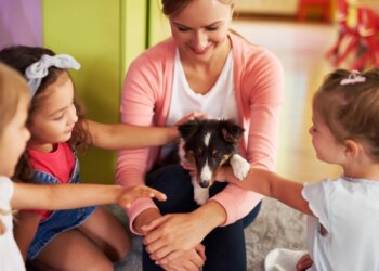 Cães sincronizam batimentos cardíacos com tutores, diz estudo