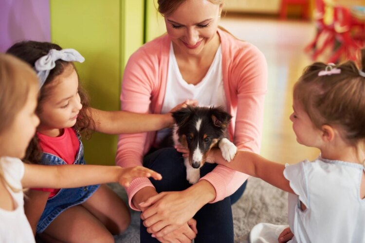 Cães sincronizam batimentos cardíacos com tutores, diz estudo
