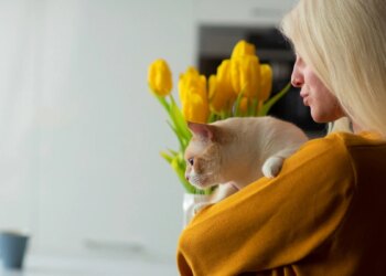 Março Amarelo alerta para doença silenciosa que coloca gatos em risco