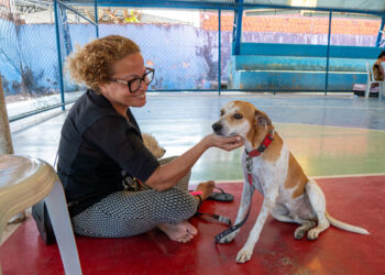 No momento, você está visualizando Prefeitura de Maracanaú realiza mutirão de castração de cães e gatos na Praça Waldemar de Alcântara