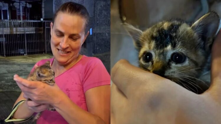 Recomeço! Médica adota gata durante passeio e atitude emociona a web