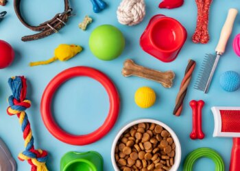 Você sabe escolher o brinquedo ideal para seu cão? Veja o que avaliar