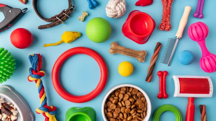 Você sabe escolher o brinquedo ideal para seu cão? Veja o que avaliar