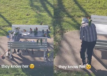 Cena de conto de fadas: idosa encanta ao atrair pássaros em parque