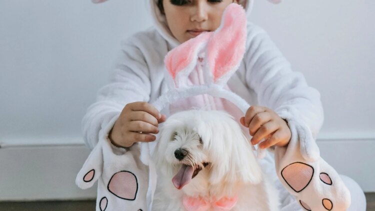 Páscoa: veterinária revela como incluir os pets nas tradições da data
