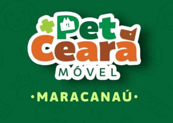 No momento, você está visualizando Pet Ceará Móvel chega a Maracanaú com castrações gratuitas para cães e gatos