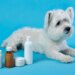Produtos falsos comprometem a saúde dos pets; veja como identificá-los