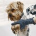 Banhos semanais prejudicam a saúde dos cães? O que diz uma veterinária