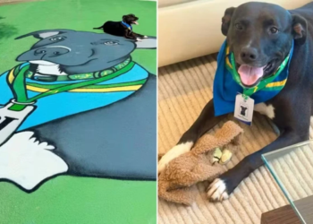 Conheça PJ, mascote da Seleção Brasileira que tem até crachá da CBF