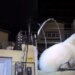Cão shih tzu é resgatado após ficar preso em cerca elétrica no Ceará