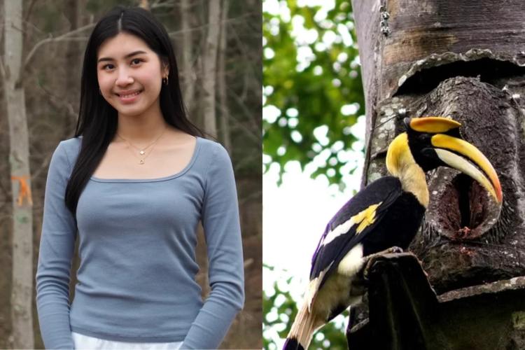 Estudante recebe prêmios por transformar plástico em ninhos para aves